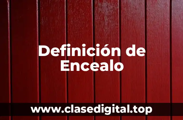 Definición de Encealo