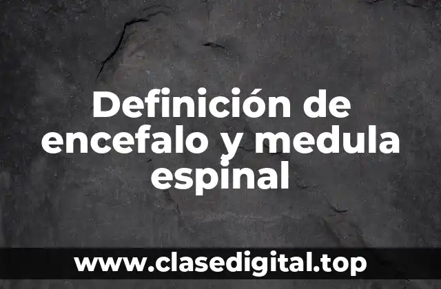 Definición de encefalo y medula espinal