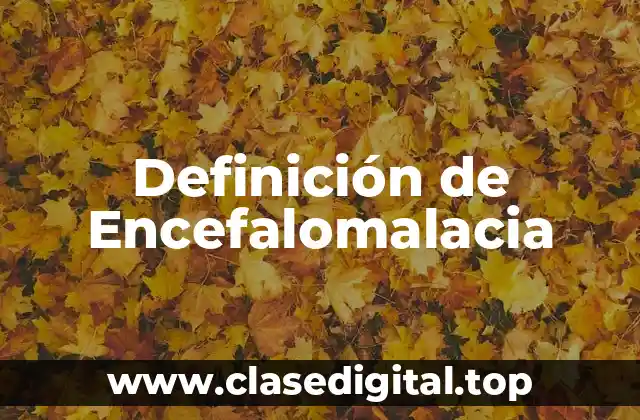 📗 Definición técnica de Encefalomalacia