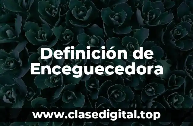 Definición de Enceguecedora