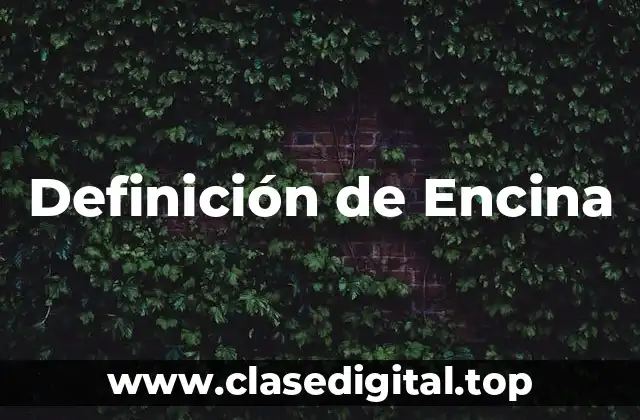 Definición de Encina