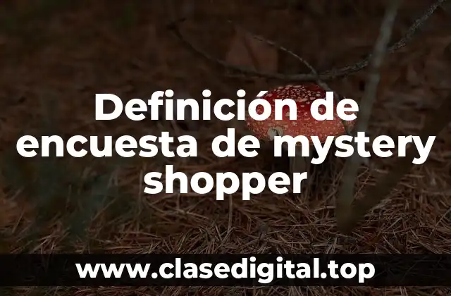 Definición de encuesta de mystery shopper