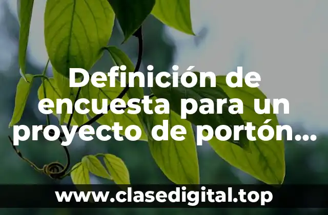 Ejemplos de encuestas para un proyecto de portón automatizado