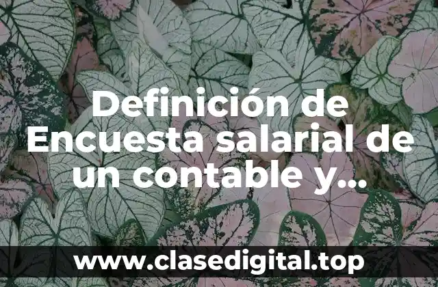 Definición de Encuesta salarial de un contable y administración