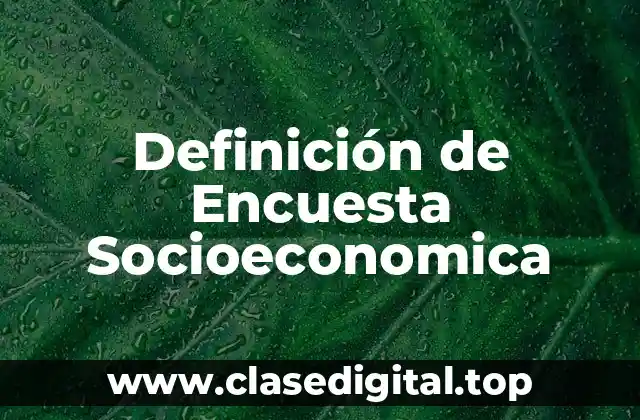 Definición de Encuesta Socioeconomica