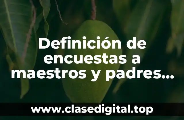 Definición de encuestas a maestros y padres de familia