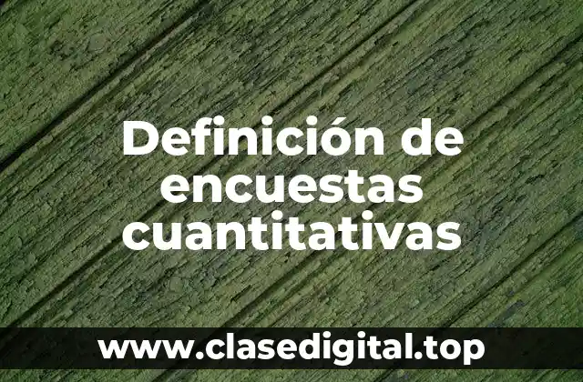 Ejemplos de encuestas cuantitativas