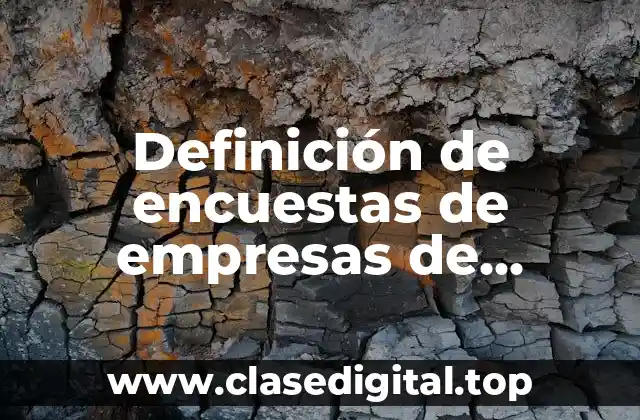 Definición de encuestas de empresas de servicios