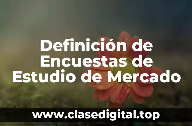 Definición de Encuestas de Estudio de Mercado