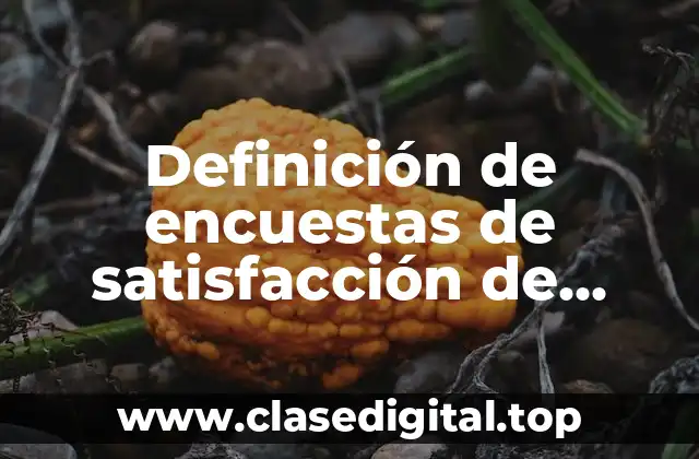 Definición de encuestas de satisfacción de soporte técnico