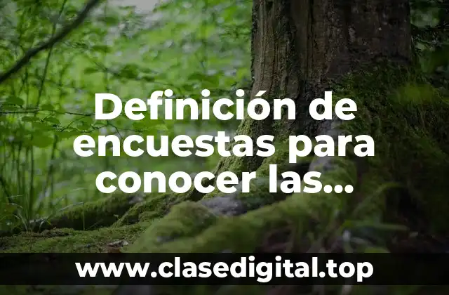 Definición de encuestas para conocer las necesidades de los alumnos