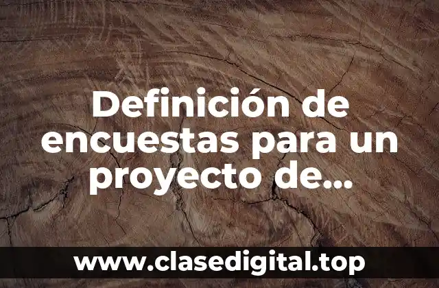 Definición de encuestas para un proyecto de investigación