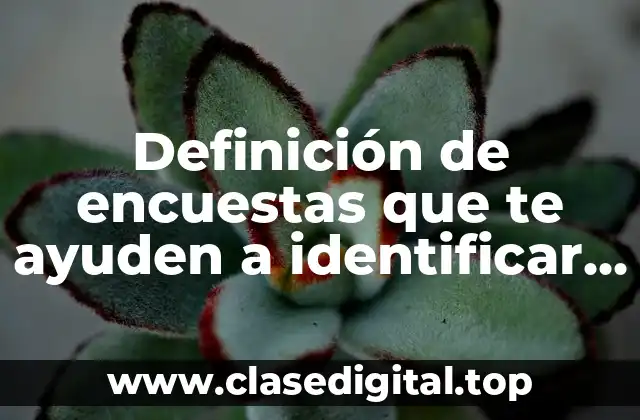 Definición de encuestas que te ayuden a identificar las emociones