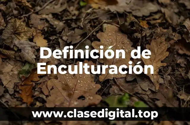 Definición de Enculturación