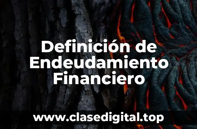Definición de Endeudamiento Financiero