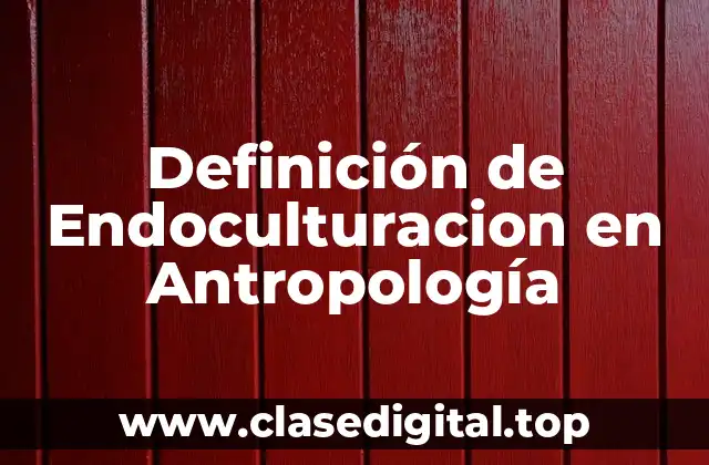 Definición de Endoculturacion en Antropología