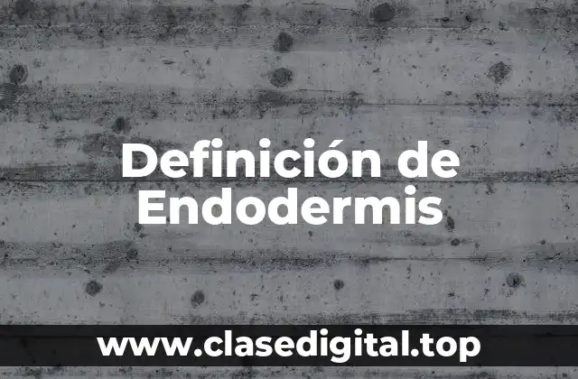 Definición de Endodermis