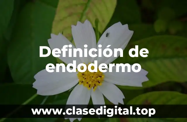 Definición de endodermo