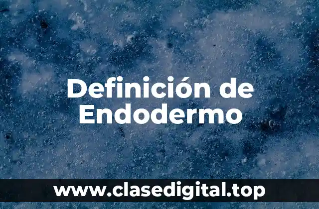 Definición técnica de Endodermo