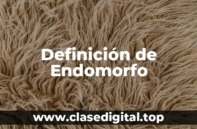 Definición de Endomorfo