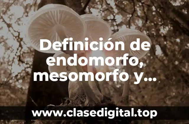 Definición de endomorfo, mesomorfo y ectomorfo