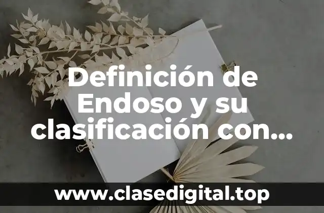 Definición técnica de Endoso