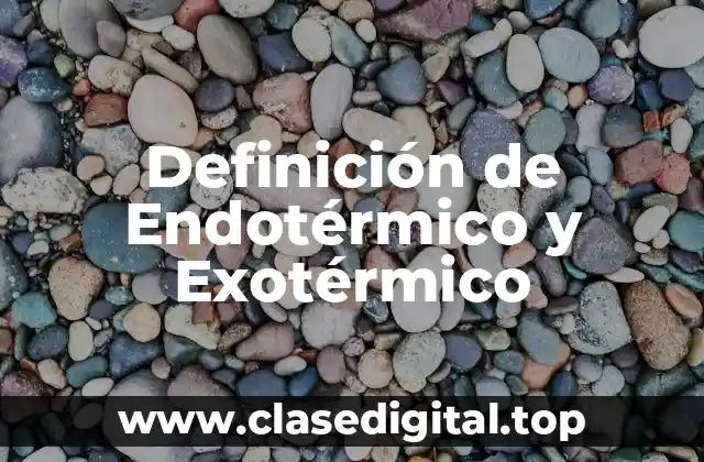 Definición de Endotérmico y Exotérmico