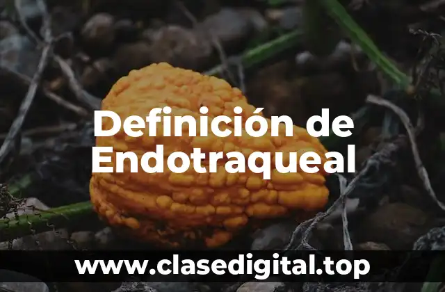 Definición de Endotraqueal
