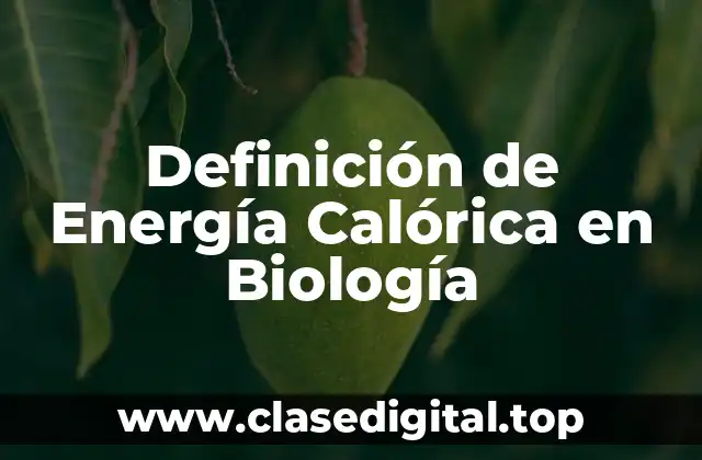 Definición Técnica de Energía Calórica