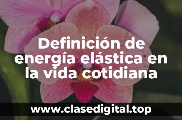 Definición de energía elástica en la vida cotidiana