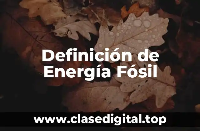 Definición Técnica de Energía Fósil