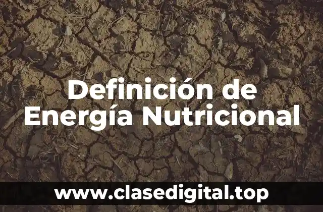 Definición de Energía Nutricional