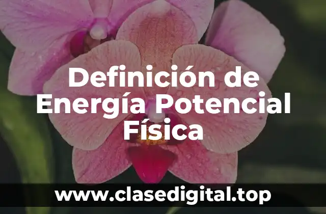 Definición de Energía Potencial Física