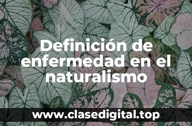 Definición de enfermedad en el naturalismo