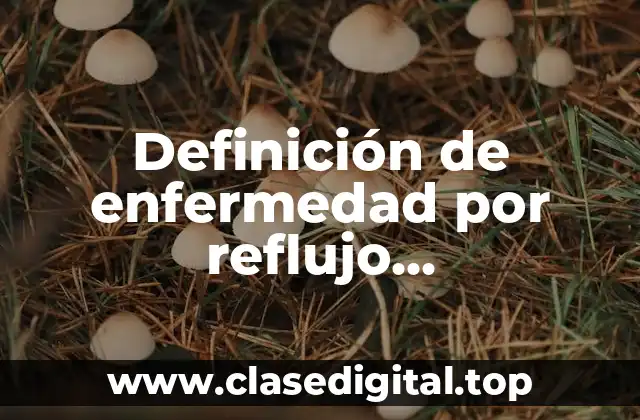 Definición de enfermedad por reflujo gastroesofagico Sheisleider