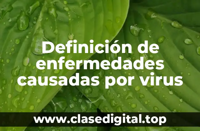 Ejemplos de enfermedades causadas por virus