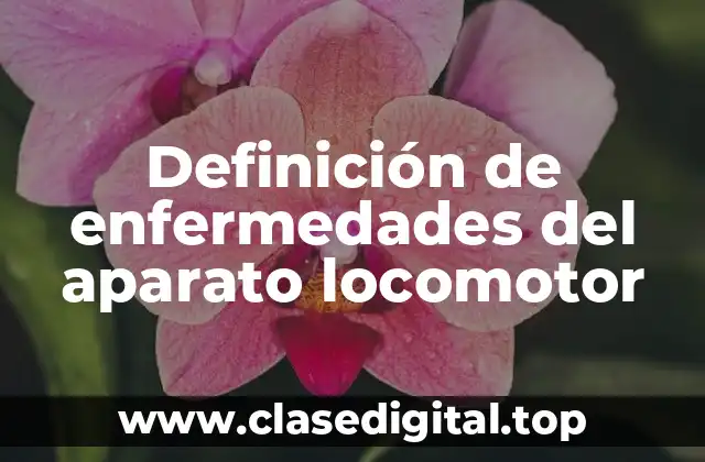 Definición técnica de enfermedades del aparato locomotor