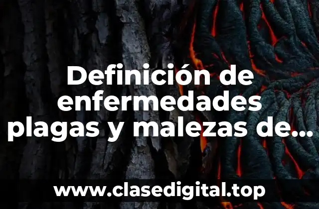 Ejemplos de enfermedades plagas y malezas