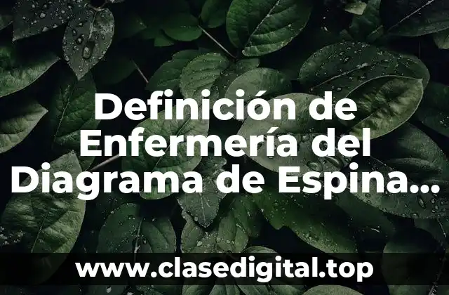 Definición de Enfermería del Diagrama de Espina de Pez