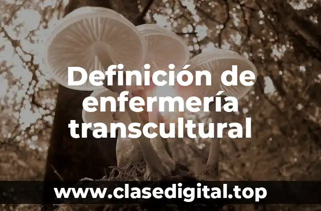 Ejemplos de enfermería transcultural