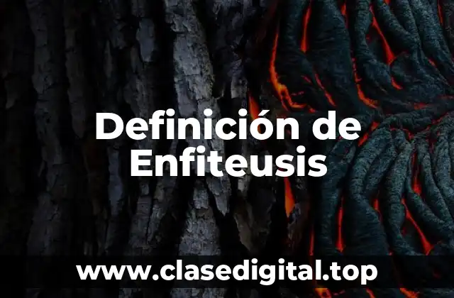 Definición de Enfiteusis