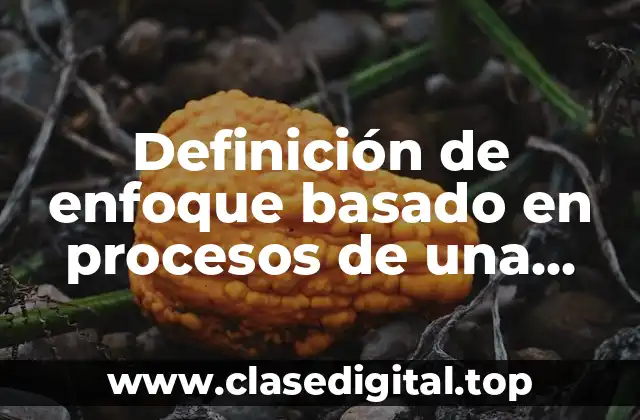 Definición de enfoque basado en procesos de una empresa
