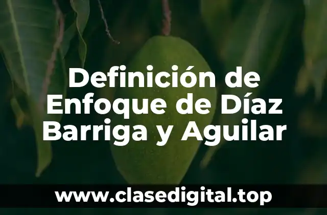 Definición de Enfoque de Díaz Barriga y Aguilar