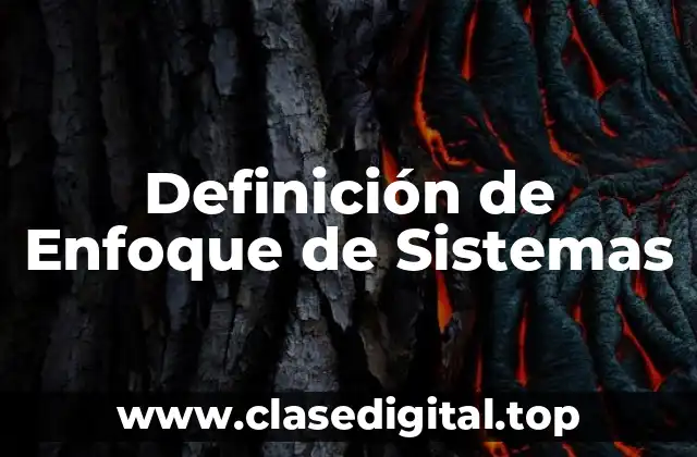 Definición de Enfoque de Sistemas