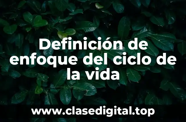Definición de enfoque del ciclo de la vida