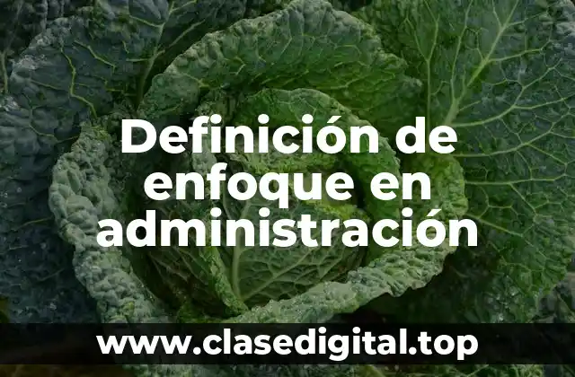 Definición de enfoque en administración
