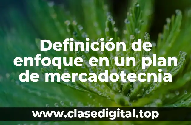 Definición de enfoque en un plan de mercadotecnia