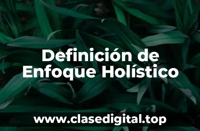 Definición de Enfoque Holístico
