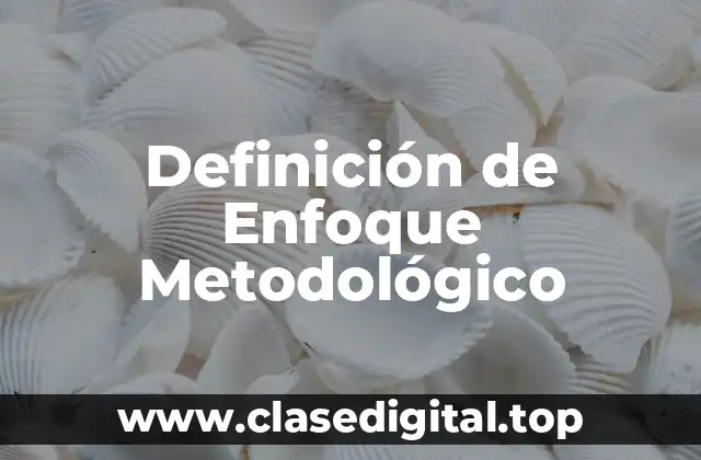 Definición de Enfoque Metodológico