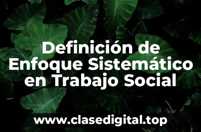Definición de Enfoque Sistemático en Trabajo Social